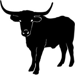 Longhorn Cattle Stickers – Bull Farm Animal Decals (2-Pack)