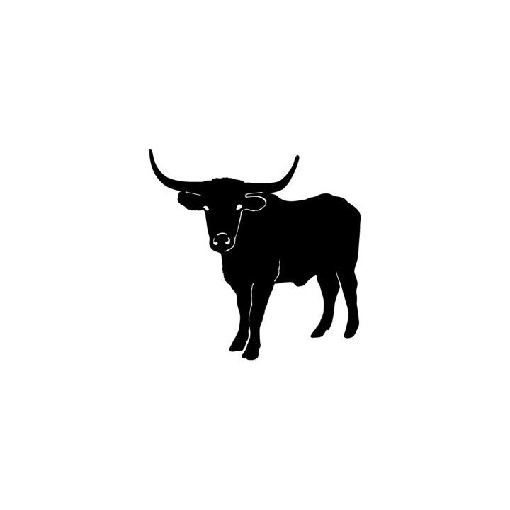Longhorn Cattle Stickers – Bull Farm Animal Decals (2-Pack)