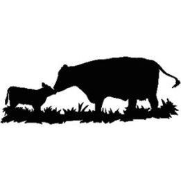Cow and Calf Stickers – Cattle Silhouette Decals (2-Pack)