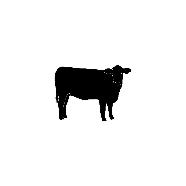Cow Silhouette Stickers – Cattle Farm Decals (2-Pack)