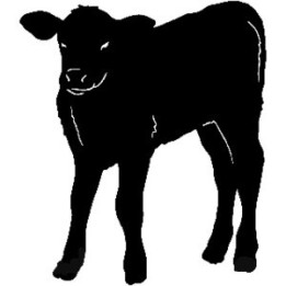 Calf Silhouette Stickers – Baby Cow Farm Decals (2-Pack)