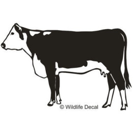 Cow Silhouette Stickers – Cattle Farm Decals (2-Pack)