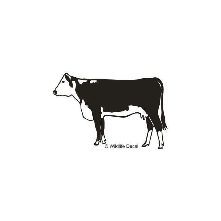 Cow Silhouette Stickers – Cattle Farm Decals (2-Pack)