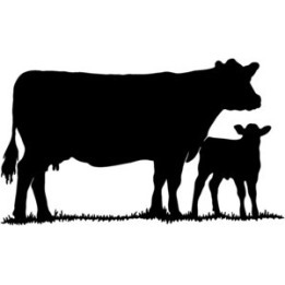 Cow & Calf Stickers – Cattle Silhouette Decals (2-Pack)