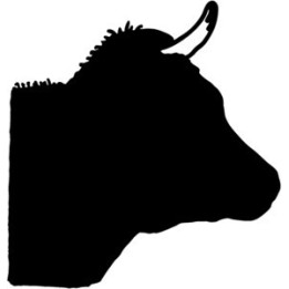 Bull Head Silhouette Stickers – Cattle Farm Decals (2-Pack)