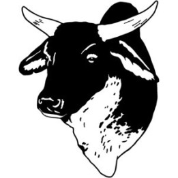 Cattle Bull Head Stickers – Farm Ranch Decals (2-Pack)