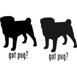 Buy Got Pug Toy Dog Online