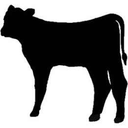 Cattle Calf Stickers – Cow Silhouette Decals (2-Pack)