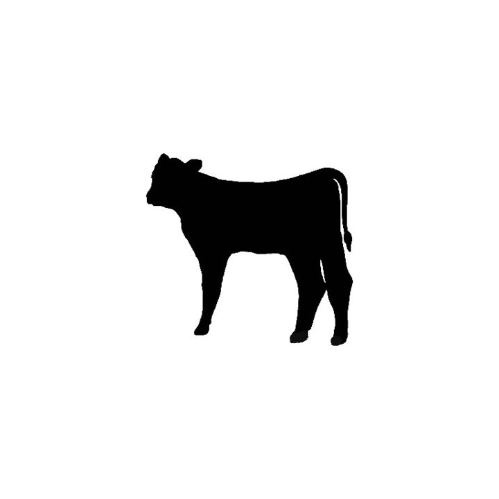 Cattle Calf Stickers – Cow Silhouette Decals (2-Pack)