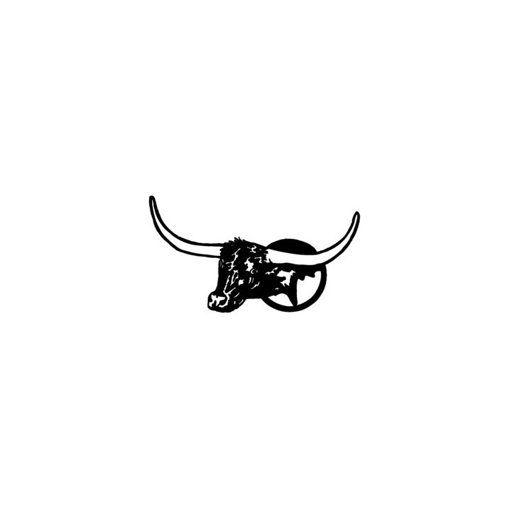 Longhorn Cattle Stickers – Bull Head Decals (2-Pack)