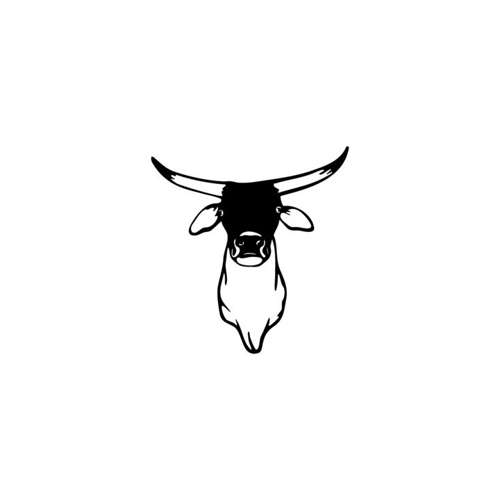 Longhorn Bull Head Stickers – Western Cattle Decals (2-Pack)