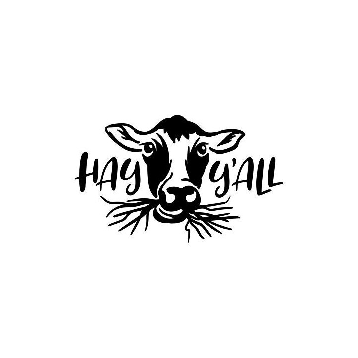 Hay Y'All Cow Stickers – Farm Animal Decals (2-Pack)