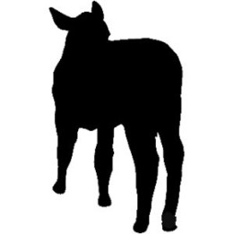 Calf Silhouette Stickers – Baby Cow Farm Decals (2-Pack)