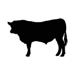 Bull Cattle Silhouette Stickers – Farm Cow Decals (2-Pack)