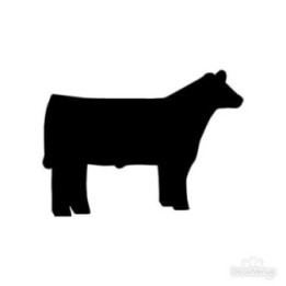 Cow Silhouette Stickers – Beef Cattle Farm Decals (2-Pack)
