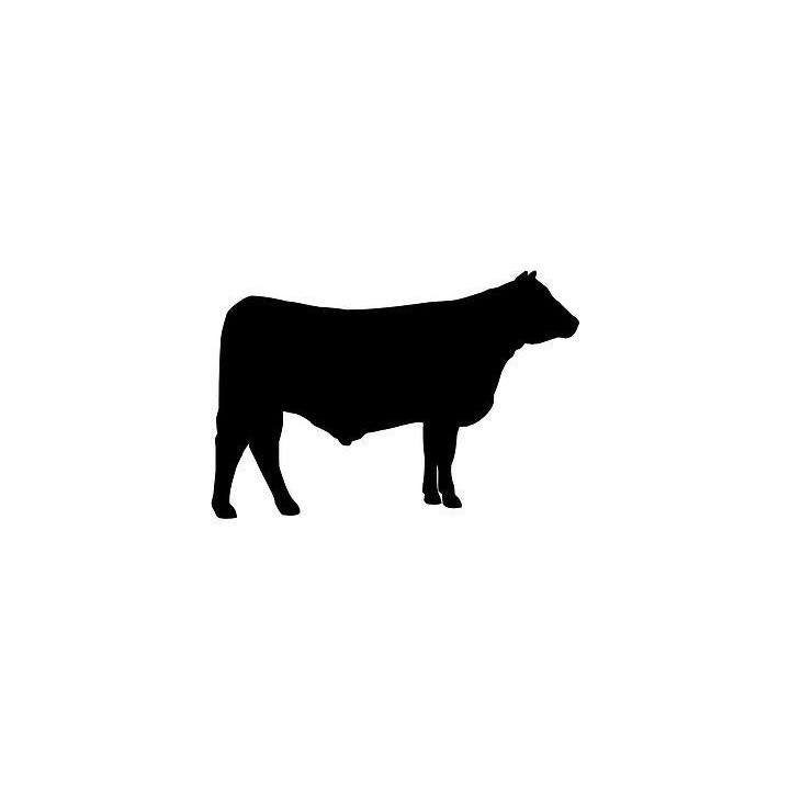Cattle Silhouette Stickers – Cow Farm Decals (2-Pack)
