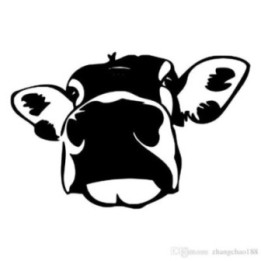 Cow Face Stickers – Dairy Cattle Head Decals (2-Pack)