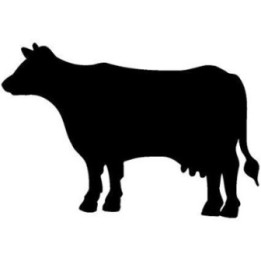 Cow Silhouette Stickers – Farm Cattle Decals (2-Pack)