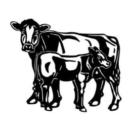 Cow & Calf Stickers – Farm Cattle Decals (2-Pack)