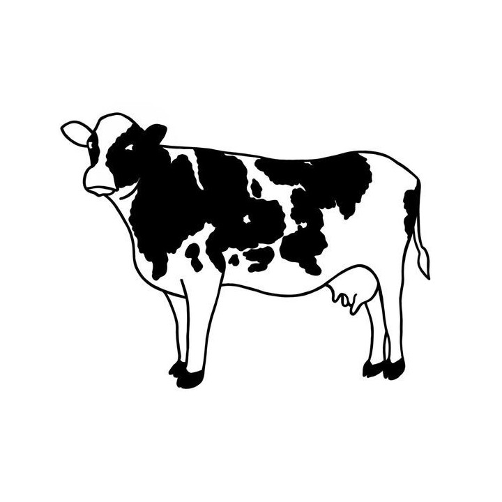 Cow Stickers – Friesian Holstein Farm Decals (2-Pack)