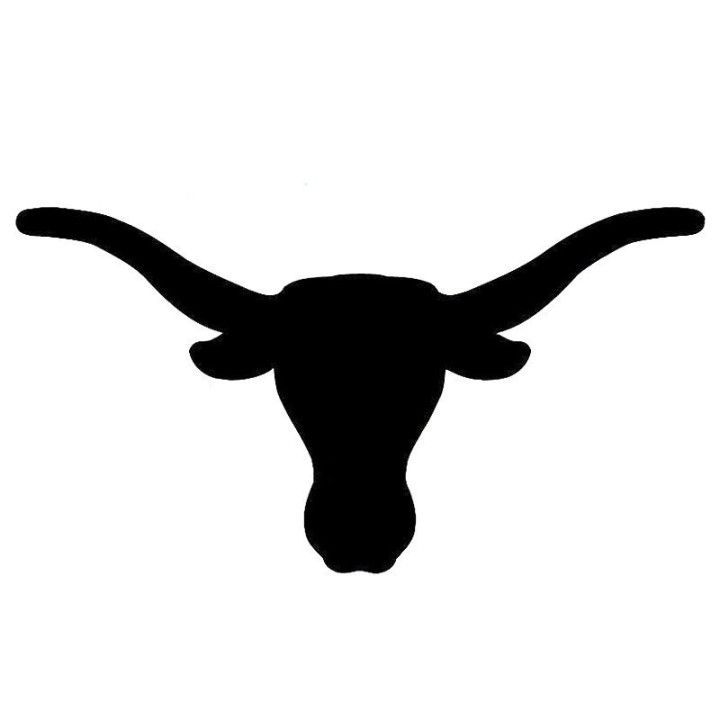 Longhorn Cow Stickers – Bull Head Silhouette Decals (2-Pack)