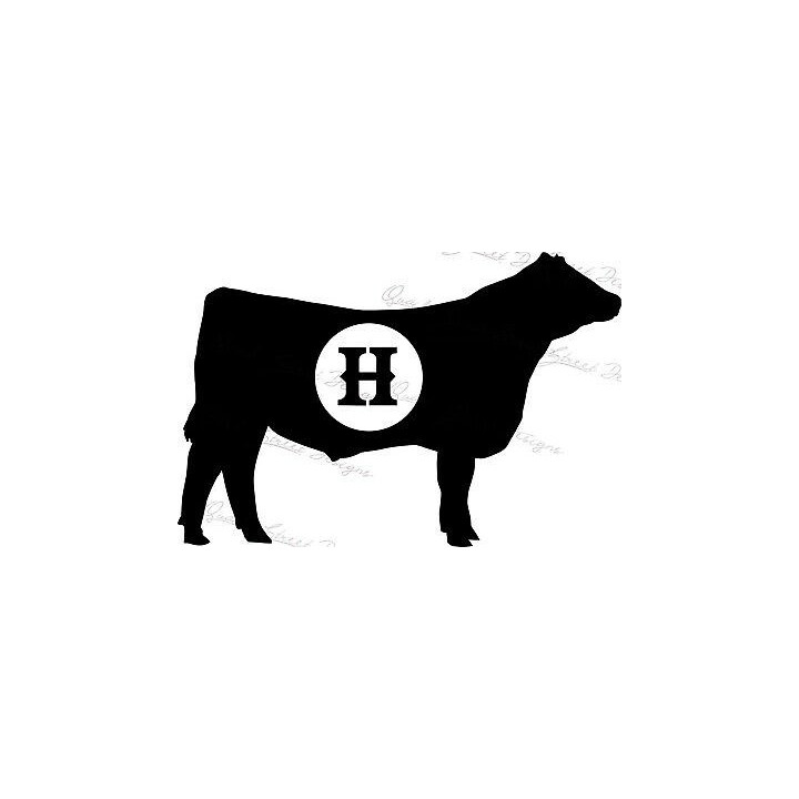 Show Cattle Stickers – Hereford Cow Farm Decals (2-Pack)