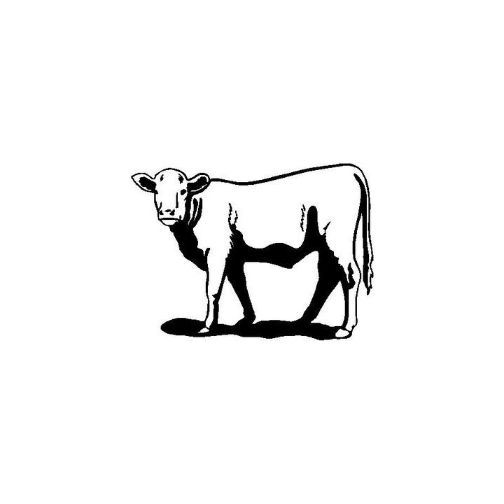 Cow Stickers – Cattle Farm Animal Decals (2-Pack)
