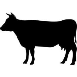 Cow Silhouette Stickers – Cattle Farm Decals (2-Pack)