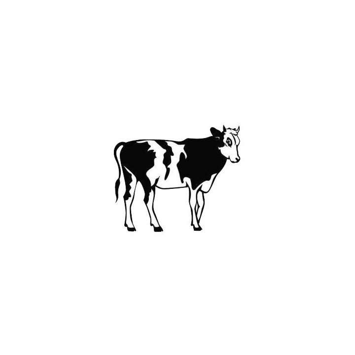 Cow Stickers – Dairy Cattle Farm Animal Decals (2-Pack)