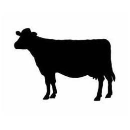Cow Stickers – Cattle Silhouette Farm Decals (2-Pack)