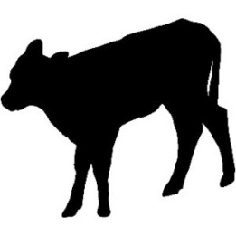 Calf Silhouette Stickers – Farm Cattle Decals (2-Pack)