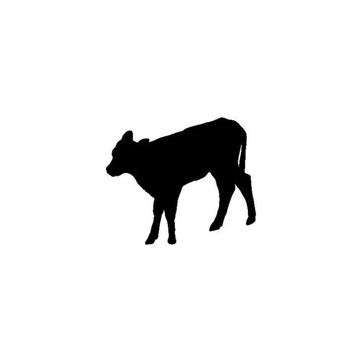 Calf Silhouette Stickers – Farm Cattle Decals (2-Pack)