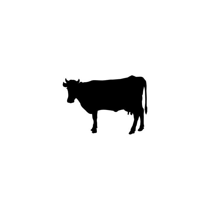 Cow Silhouette Stickers – Farm Cattle Decals (2-Pack)