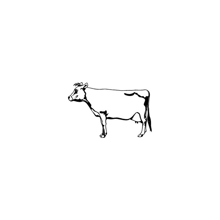 Cattle Cow Stickers – Farm Ranch Decals (2-Pack)