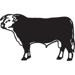 Bull Stickers – Hereford Beef Cattle Decals (2-Pack)