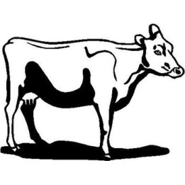 Cow Stickers – Cattle Farm Animal Decals (2-Pack)