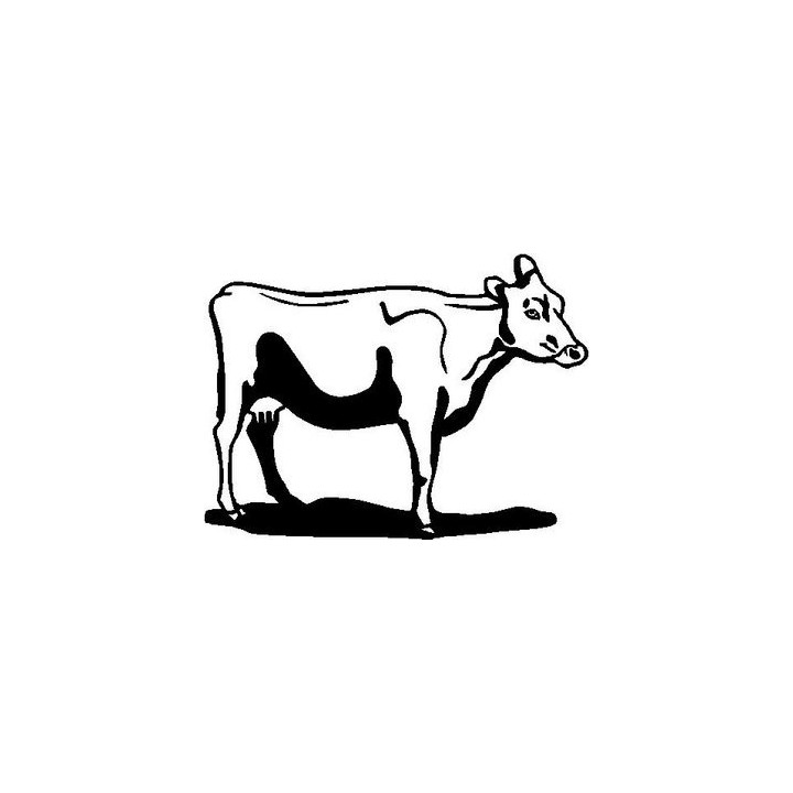 Cow Stickers – Cattle Farm Animal Decals (2-Pack)