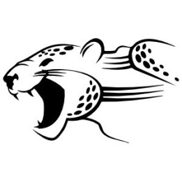 Cheetah Vinyl Decal Sticker V13 - DecalsHouse