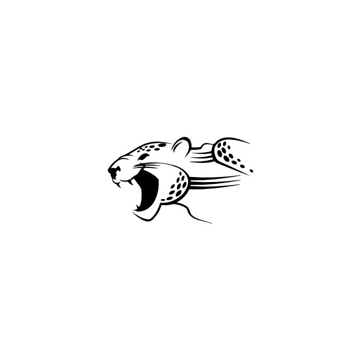Cheetah Vinyl Decal Sticker V13 - DecalsHouse