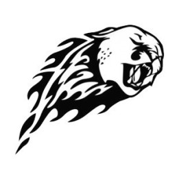 Cheetah Vinyl Decal Sticker V14 - DecalsHouse
