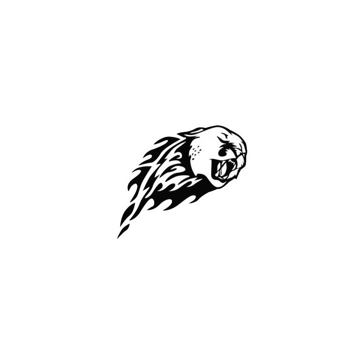 Cheetah Vinyl Decal Sticker V14 - DecalsHouse