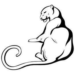 Cheetah Vinyl Decal Sticker V16 - DecalsHouse