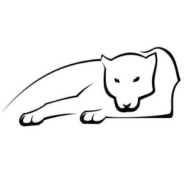 Cheetah Vinyl Decal Sticker V17 - DecalsHouse