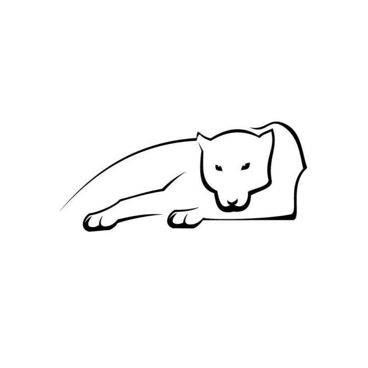 Cheetah Vinyl Decal Sticker V17 - DecalsHouse