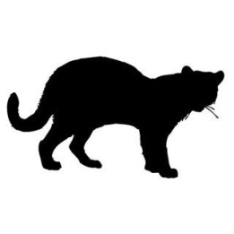 Cheetah Vinyl Decal Sticker V21 - DecalsHouse