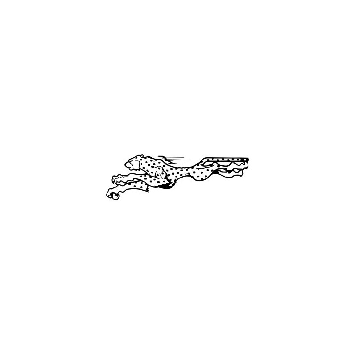 Cheetah Vinyl Decal Sticker V26 - DecalsHouse