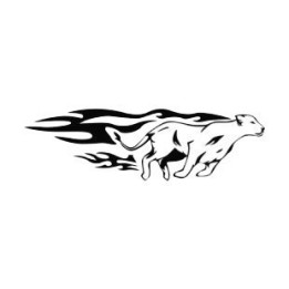 Cheetah Vinyl Decal Sticker V31 - DecalsHouse
