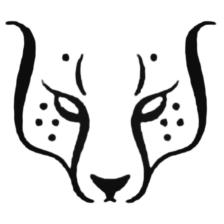 Cheetah Vinyl Decal Sticker V34 - DecalsHouse