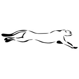 Cheetah Vinyl Decal Sticker V8 - DecalsHouse
