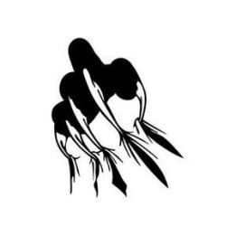 Cheetah Vinyl Decal Sticker V9 - DecalsHouse